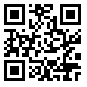 Illustrative passport QR code